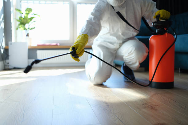 Trusted Sewage Cleanup service in McKittrick, CA - Four Month Blood Cleanse